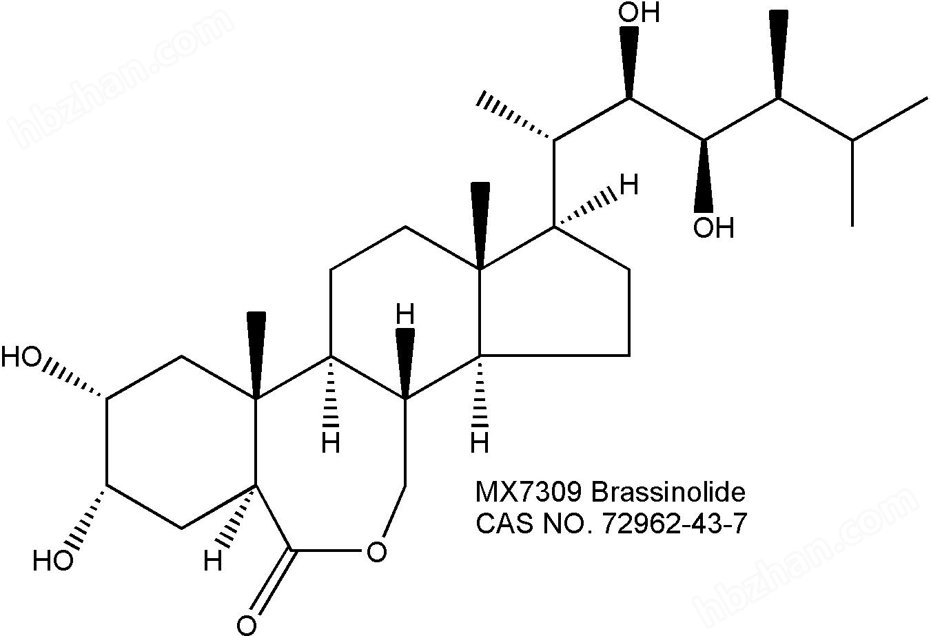 Brassinolide 蕓苔素內(nèi)酯細(xì)胞培養(yǎng)