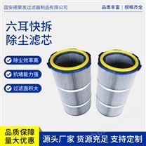 卡盤式粉塵過濾芯 除菌除味設備用  抗壓防凍 源頭工廠 德聚發