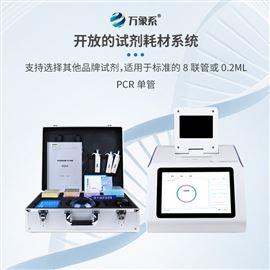 WX-ZW432四通道32孔非洲猪瘟检测仪